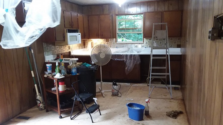 Kitchen cabinets and paneling scrub down
